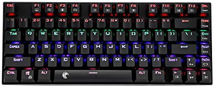 HUO JI 60% Mechanical Gaming Keyboard, E-Yooso Z-88 with Brown Switches, Rainbow LED Backlit, Compact 81 Keys, Black